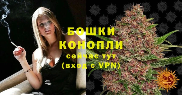 ПСИЛОЦИБИНОВЫЕ ГРИБЫ Лагань