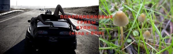 ПСИЛОЦИБИНОВЫЕ ГРИБЫ Лагань