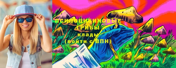 гашик Лабытнанги
