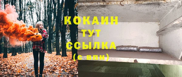 ПСИЛОЦИБИНОВЫЕ ГРИБЫ Лагань