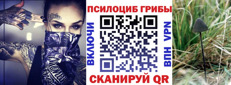 Псилоцибиновые грибы Cubensis  кракен ТОР  Сатка 